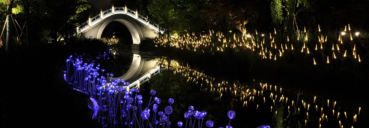 1574748713536520.jpg 1574748713536520.jpg